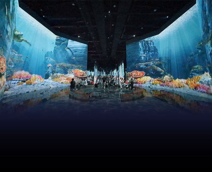 Visitors viewing large projected images of underwater marine life displayed on two screens in a spacious gallery. 