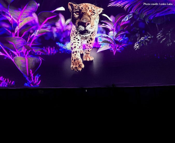 A projected image of a jaguar walking out of purple jungle leaves towards you.