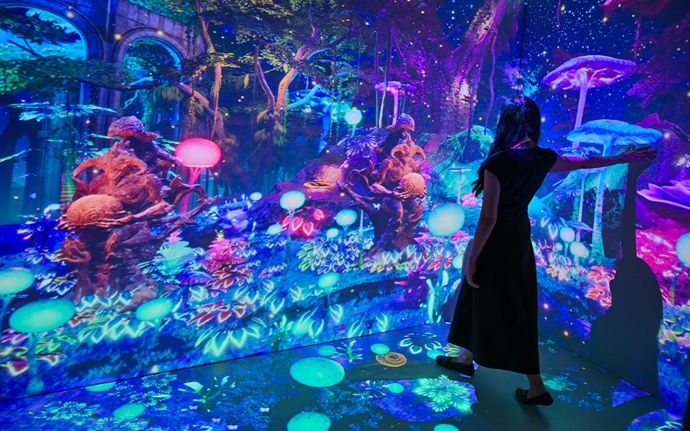 A person walking in an immersive room with a fantasy-inspired forest being projected on the walls