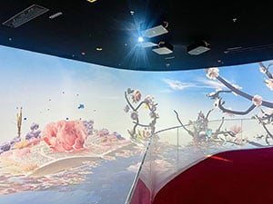 A large curved screen displaying a projected image of a beautiful array of flowers, with several mounted projectors invisible on the ceiling.