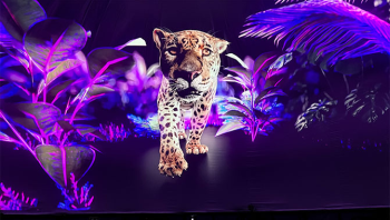 image of a jaguar agianst a purple jungle leaf background