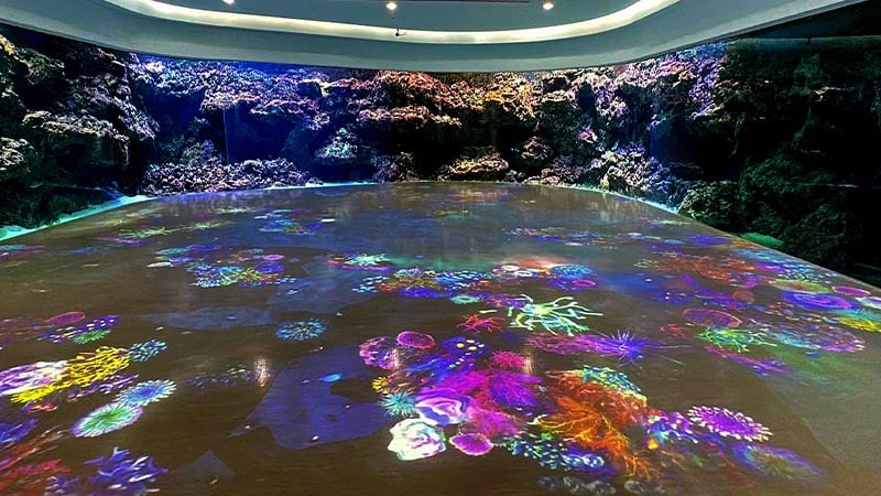 Colorful floor projections in a large room simulating an underwater ocean environment.