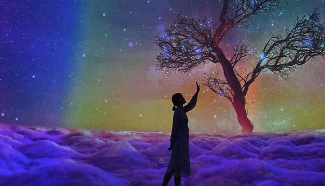 Silhouette of a person against a projection-mapped backdrop of a tree and night sky. 