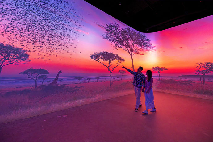 People point at an image of a giraffe and birds projected onto a wall.